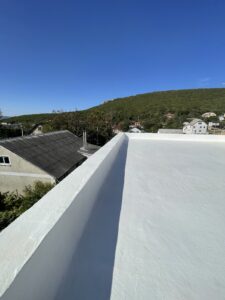 IMG_8537